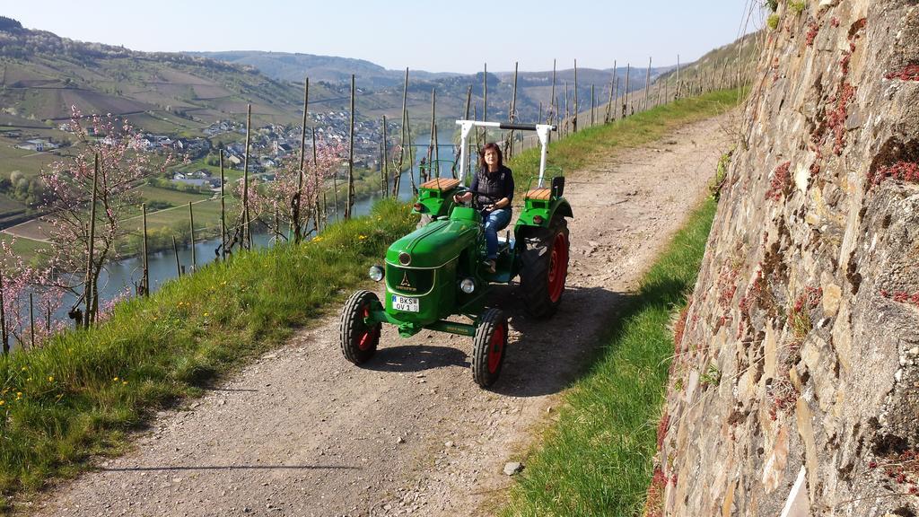 Weingut Hirschen Enkircherweg Burg  Cameră foto