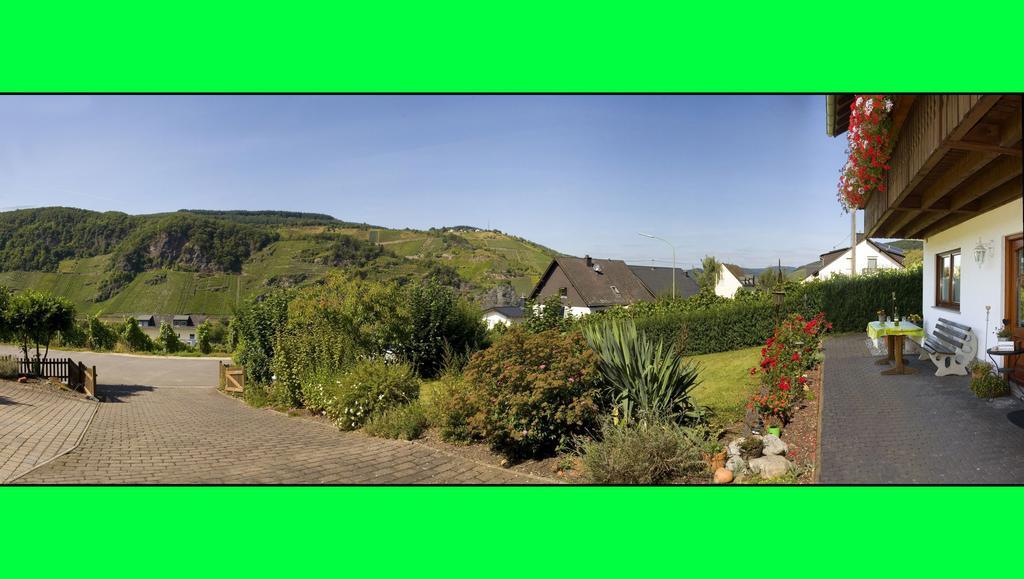 Weingut Hirschen Enkircherweg Burg  Exterior foto
