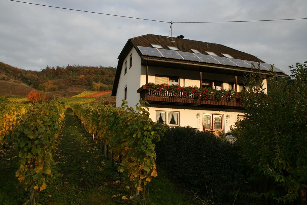 Weingut Hirschen Enkircherweg Burg  Exterior foto